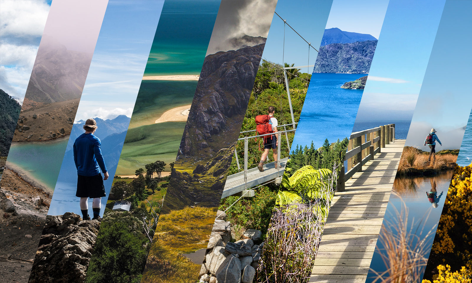 Top 10 Walking Tracks in New Zealand