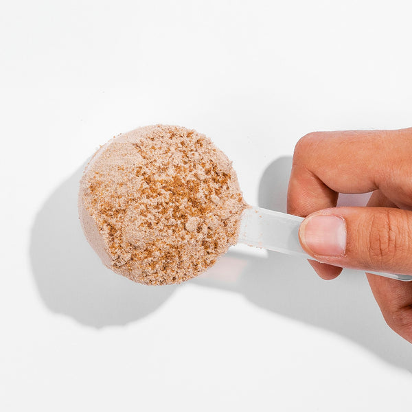 Bulk Bag Plastic Scoop